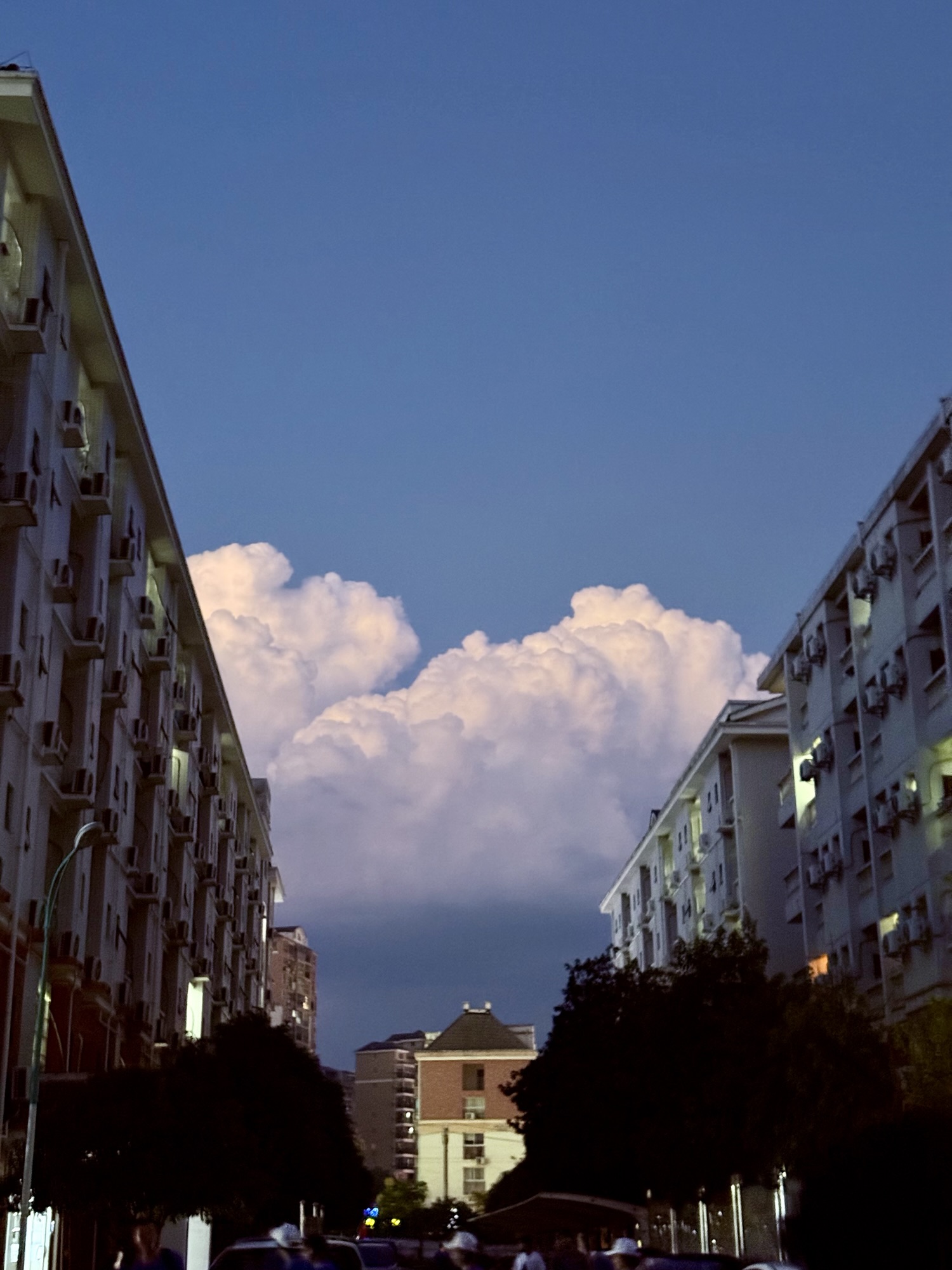 湖北上学记:1500+公里,土著从内蒙古到湖北的所见所闻 https://imfurry.com/wp-content/uploads/2025/10/img_2161.jpg