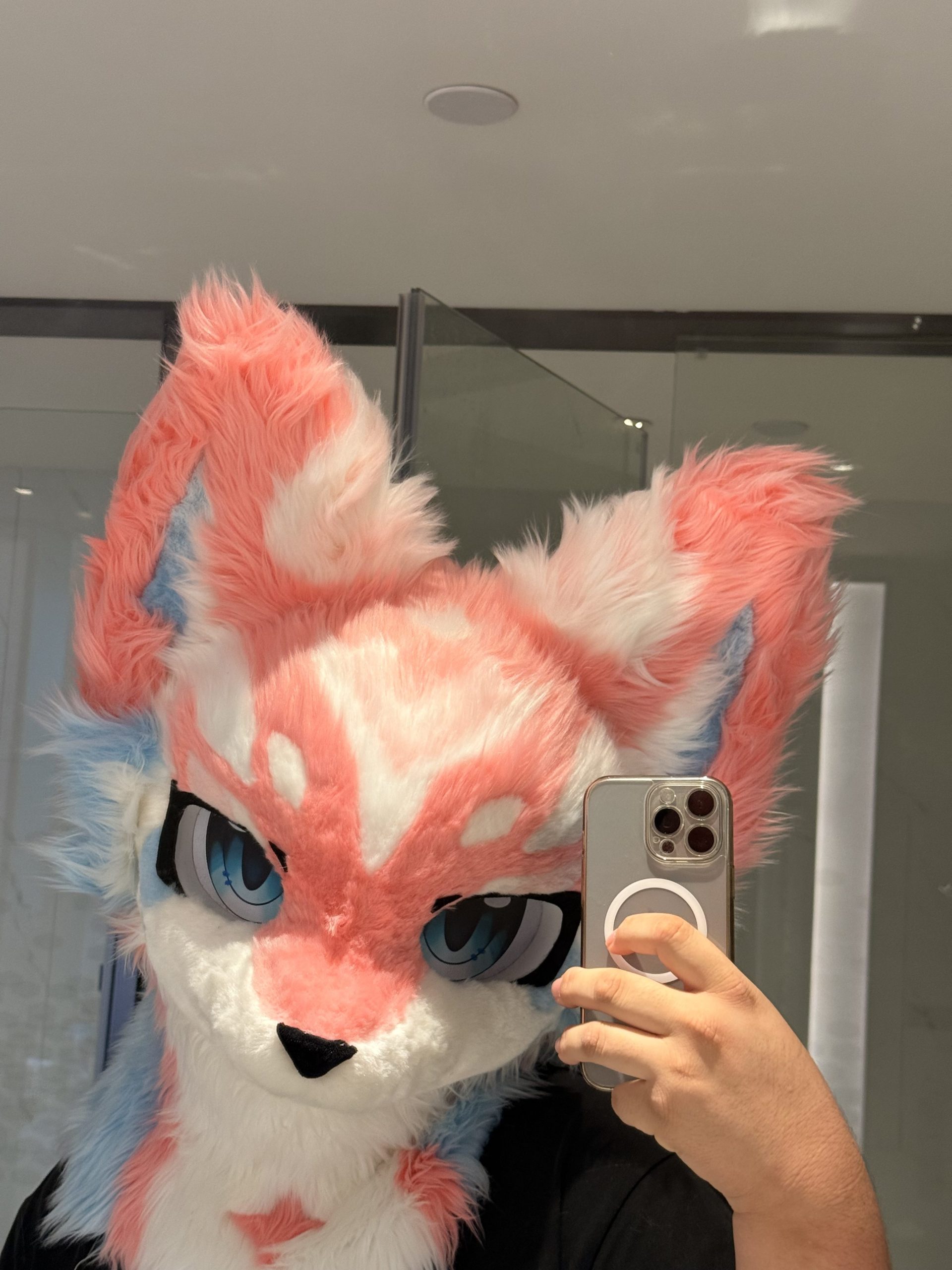 https://imfurry.com/wp-content/uploads/2026/06/IMG_9441-edited-scaled.jpeg