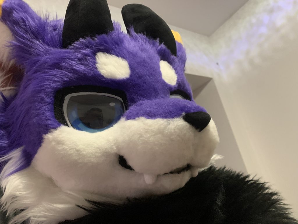 https://imfurry.com/wp-content/uploads/2026/06/IMG_9819-1024x768.jpeg